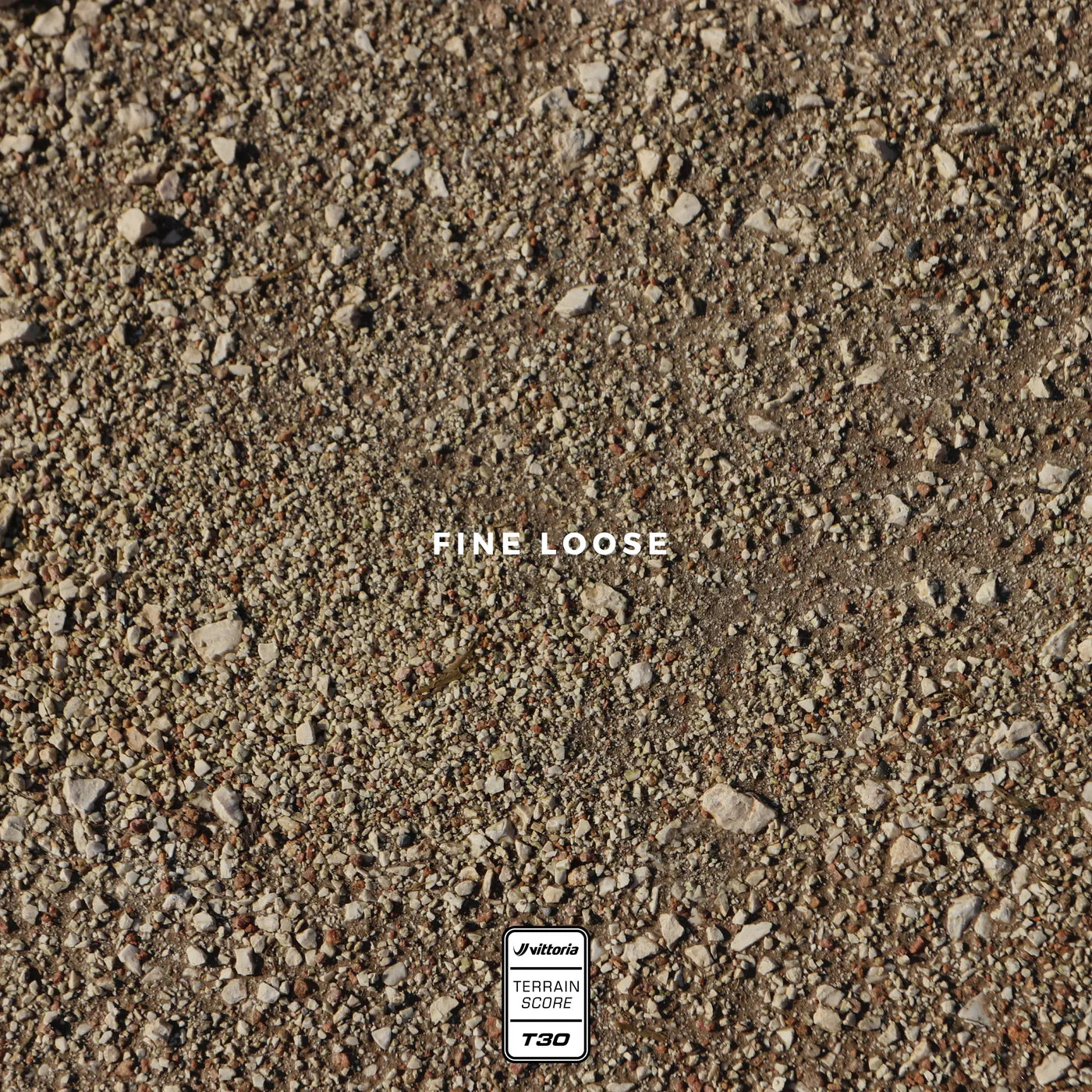 Vittoria Terreno T30 Brown Tyre