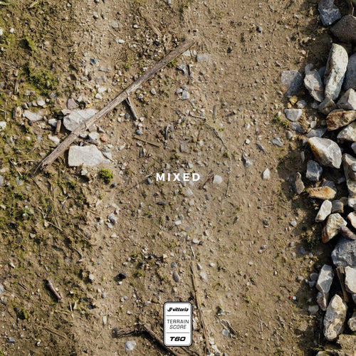 Vittoria Terreno T60 Brown Tyre