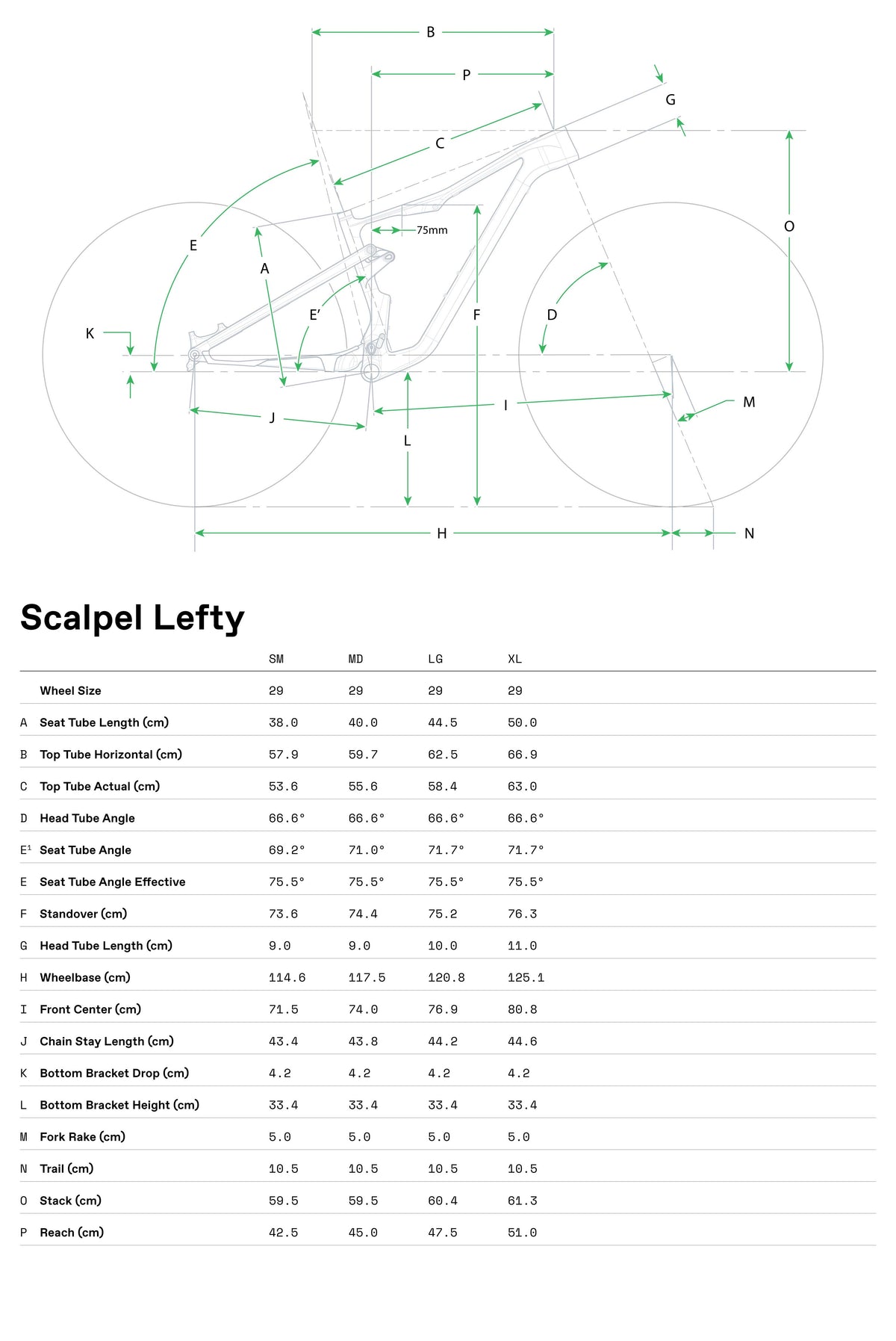 Geometry Image 1