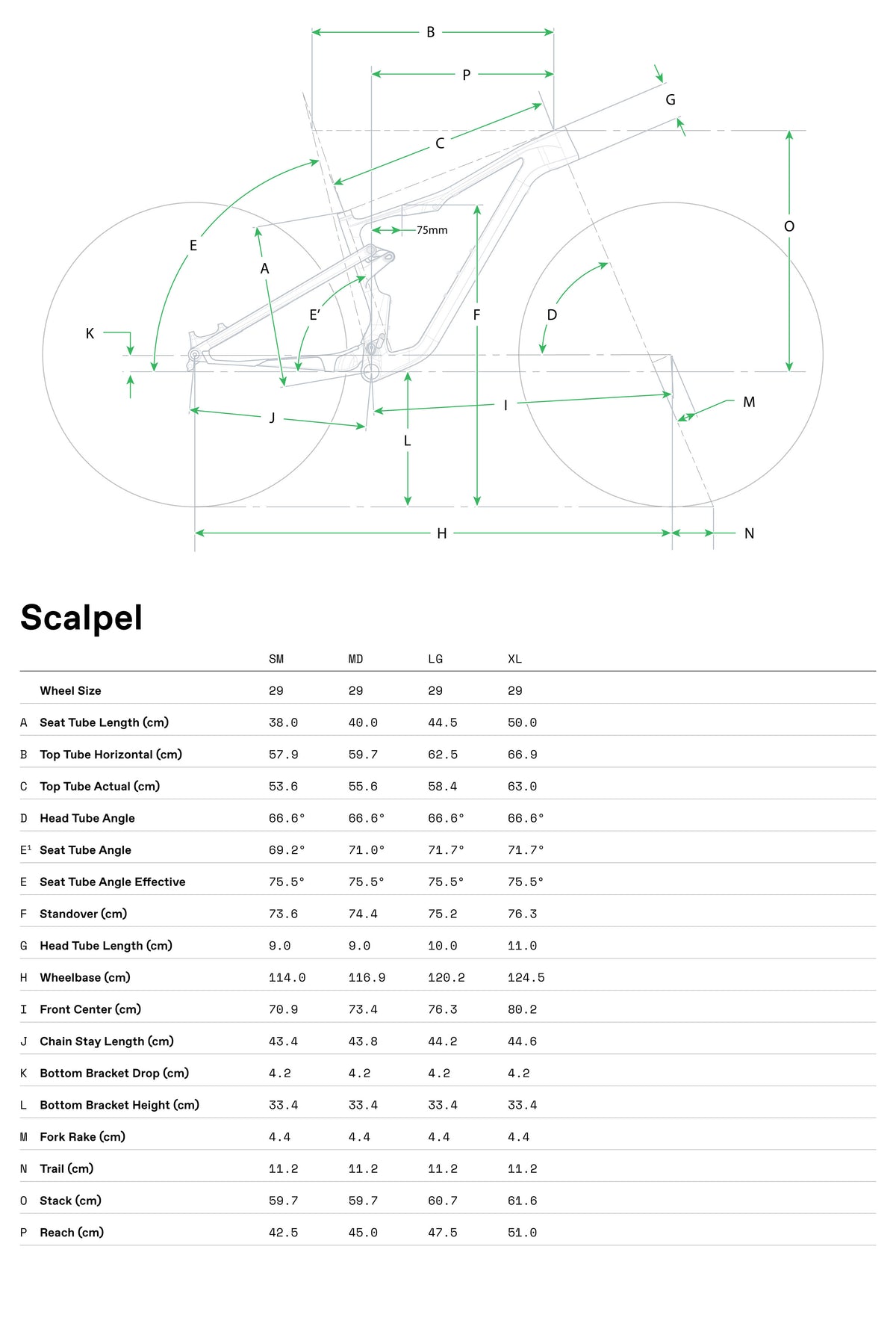 Geometry Image 1