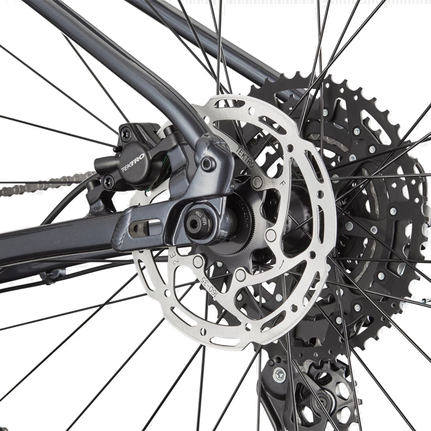 2026 Cannondale Trail 1