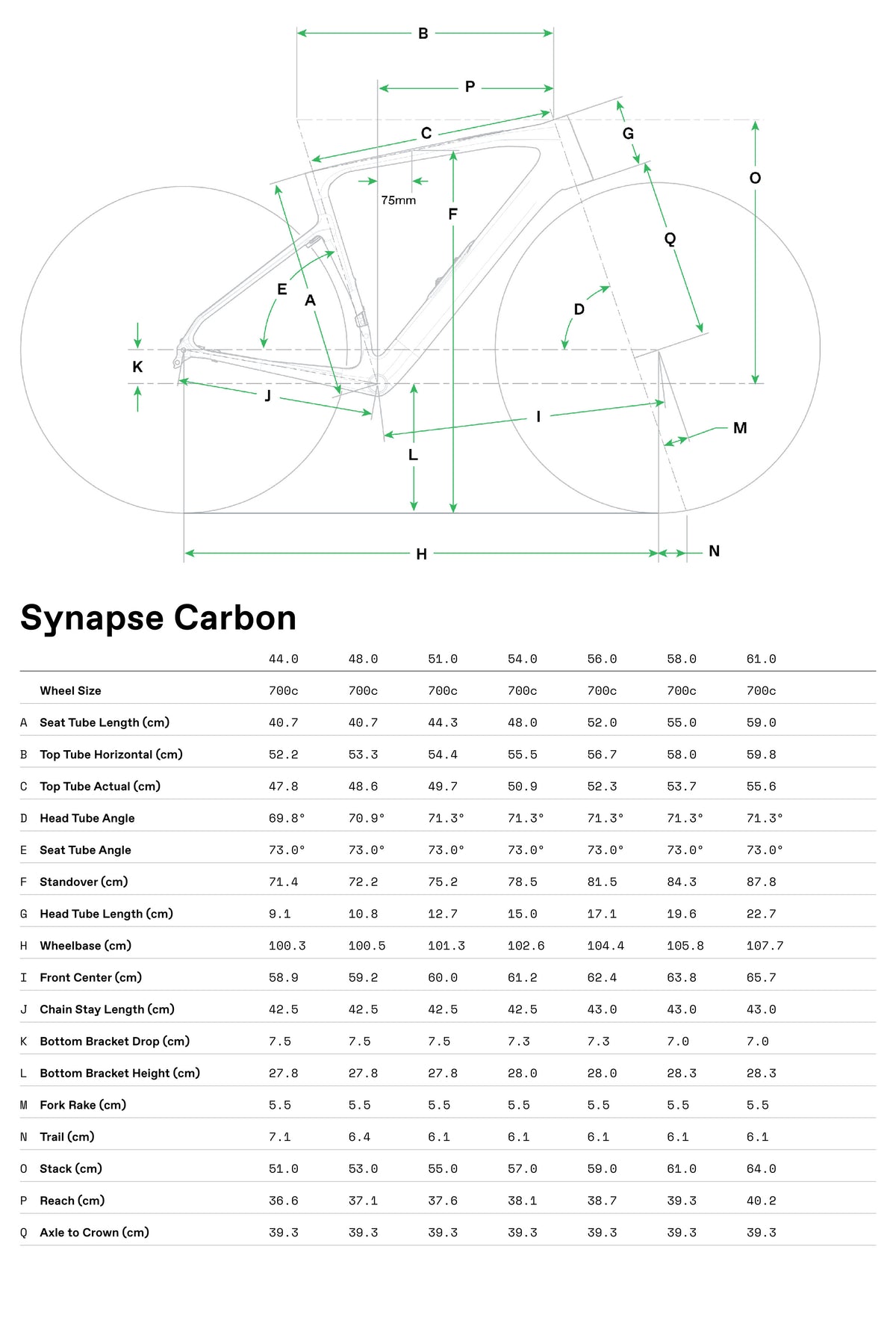 Geometry Image 1