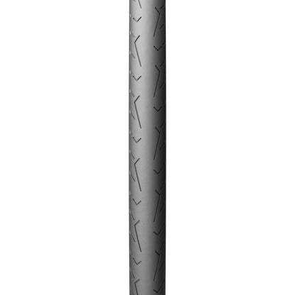 Pirelli Cinturato Evo TLR Tyre