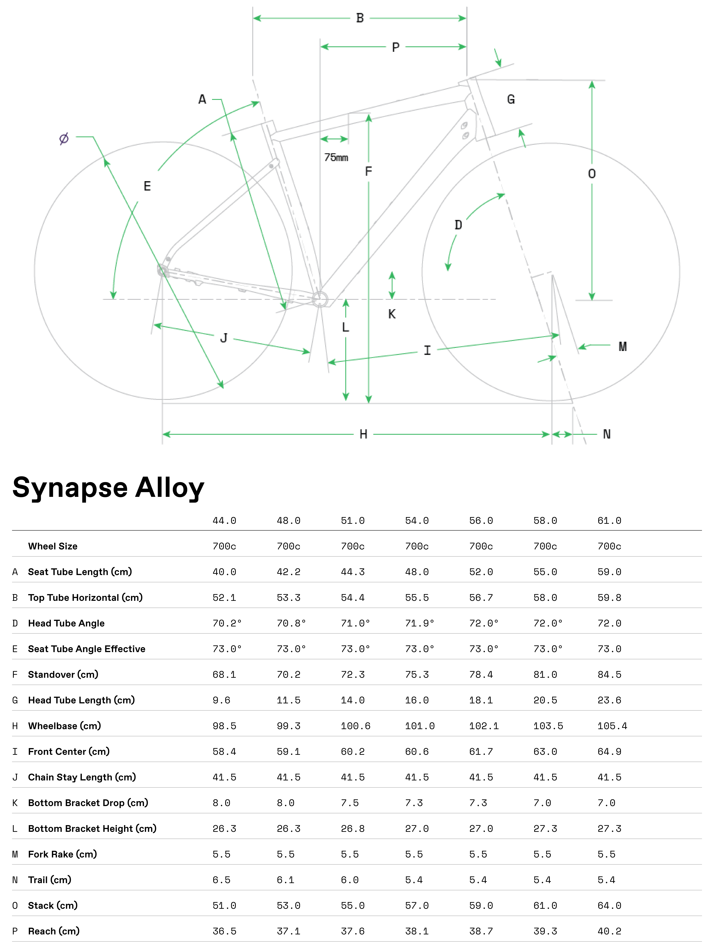 Geometry Image 1